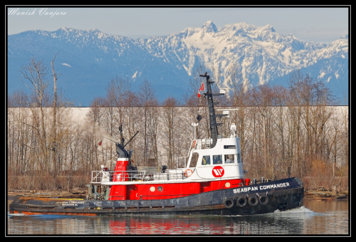 Push And Tug Boat