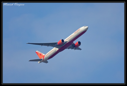 Birds-141