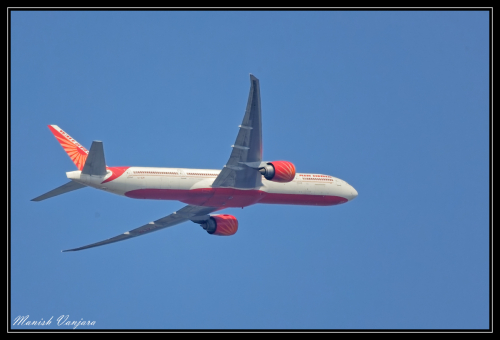 Birds-142
