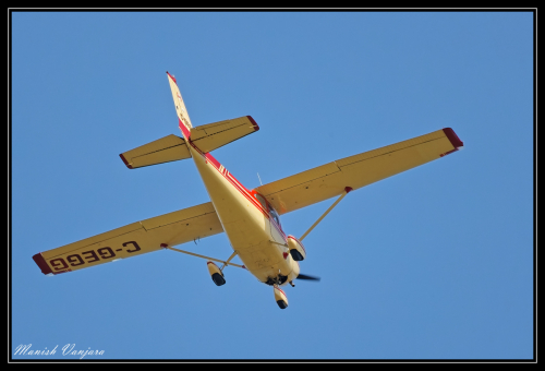 Birds-143