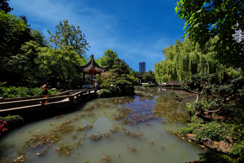 China-Town-Vancouver