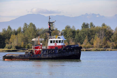 Push and Tug Boat