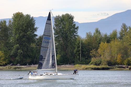 Sail Boat