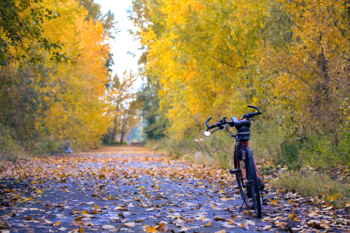 Fall Season