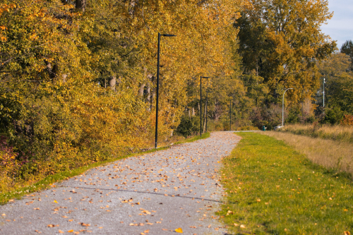 Fall Season