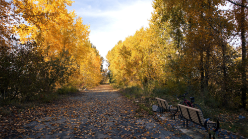 Fall Season