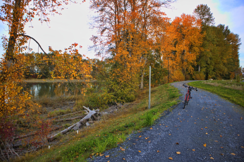 Fall Season